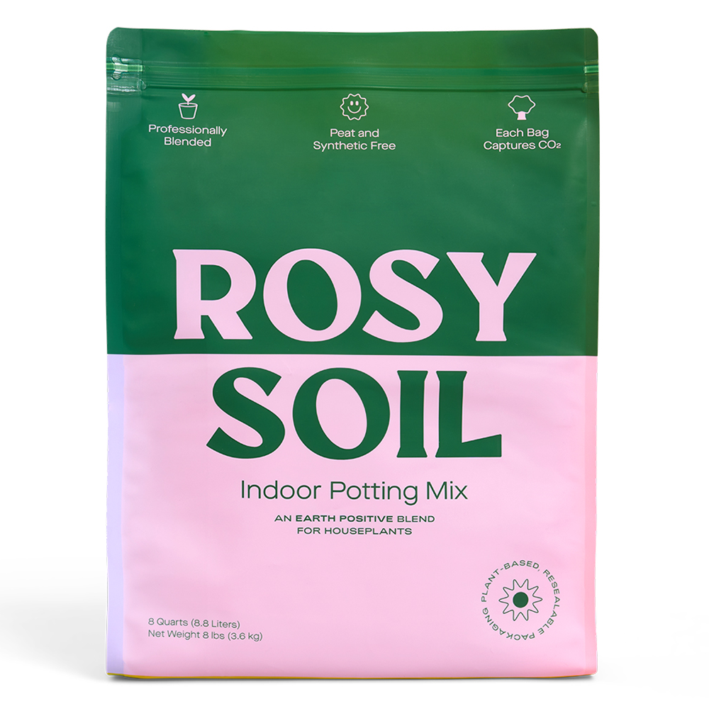 Houseplant Soil