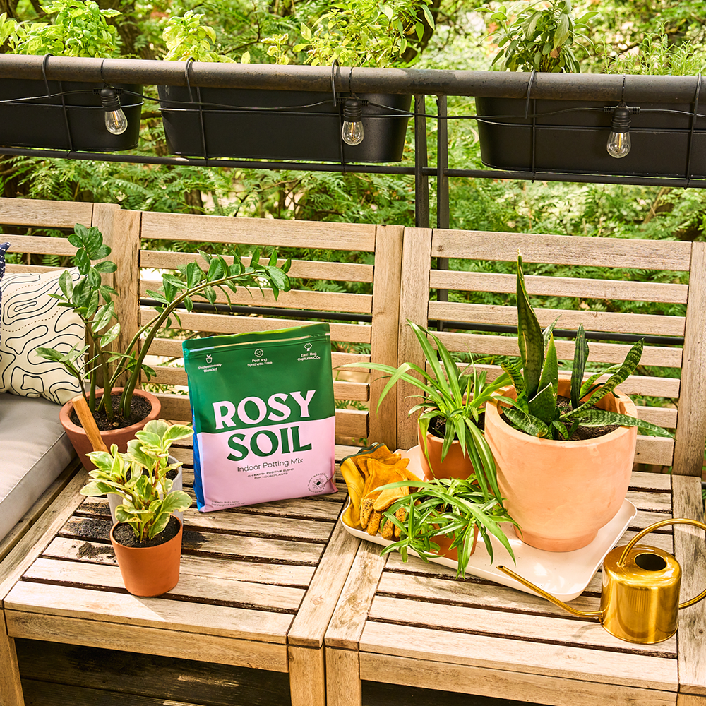 Houseplant Soil