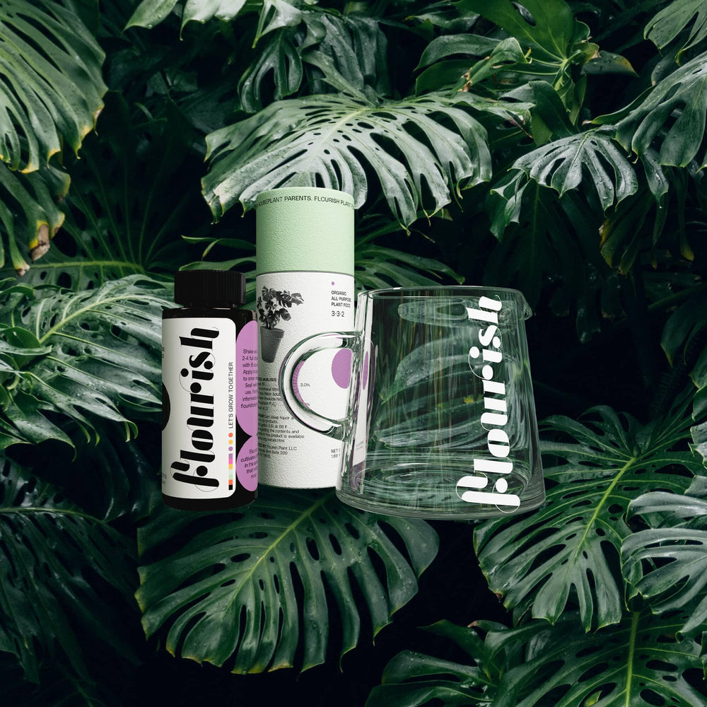 All-Purpose Plant Food Kit
