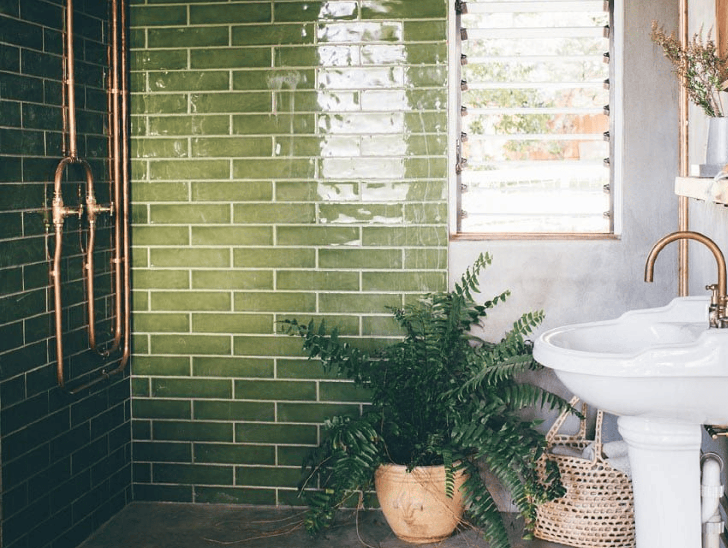 Tips and Tricks for Plants in your Bathroom